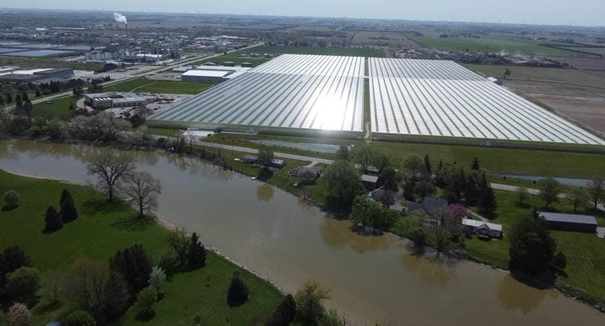 Aerial view of the Truly Green facility, large field of greenhouses with a river flowing in front